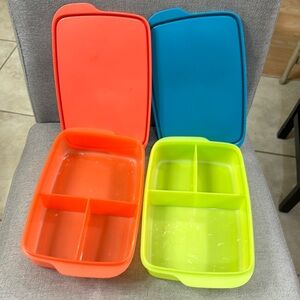 Tupperware Divided Containers